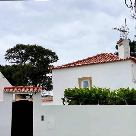 Countryside House In - 5 Min From Beach, With Salt Water Pool & Bbq Ericeira
